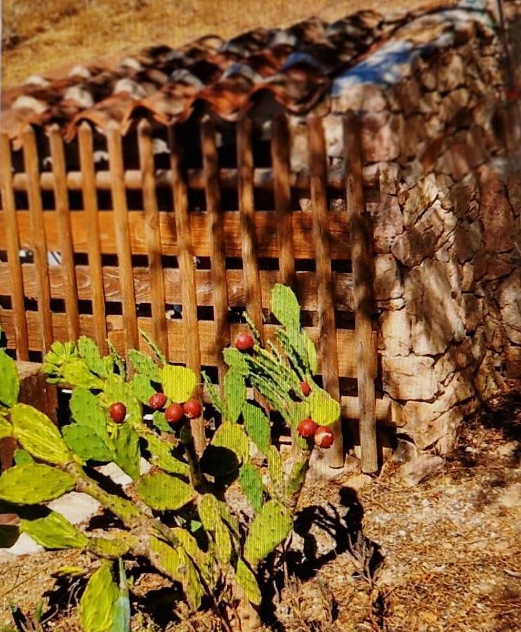 Smeralda Gasthof Olbia